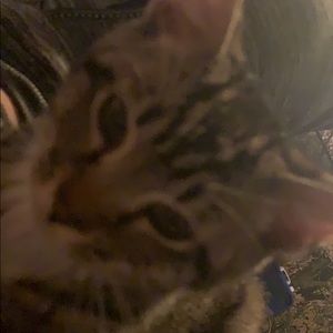 Meet your Posher, Zach